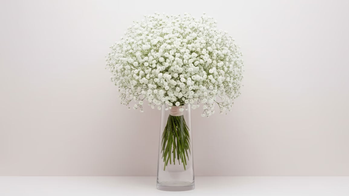 Schleier, Schleier baby