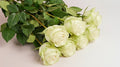 Rosen weiß