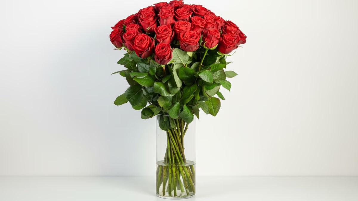 Premium Rosen Strauß (rot)