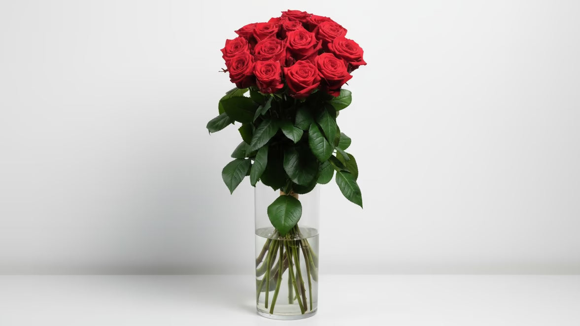 15 Premium Rosen rot (80 cm)