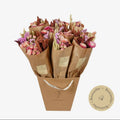 Market more rosa